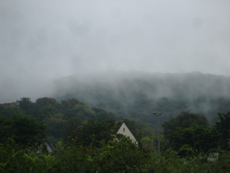 06.08.11: Nach dem Regen in der Nacht zogen dicke Nebelschwaden über die bewaldeten Hügel um Dillenburg.