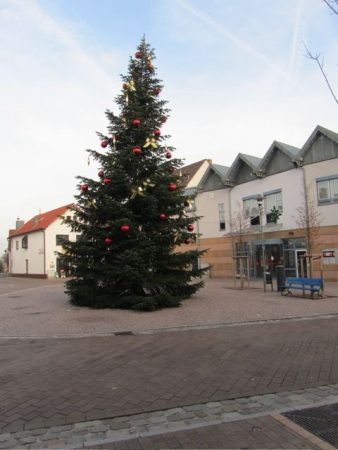 11.12.11: geschmückter Weihnachtsbaum auf dem Marktplatz.