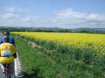 Traumhaftes Wetter! Blick auf Taunus und Rapsfelder.