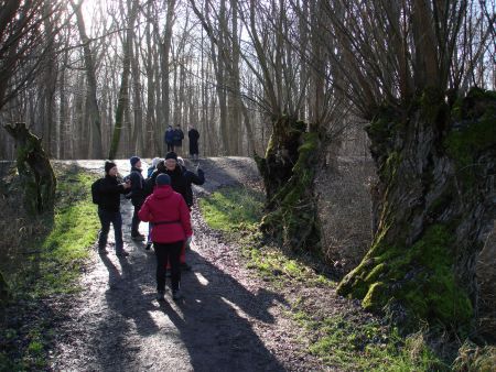 Wanderung auf dem Kühkopf.