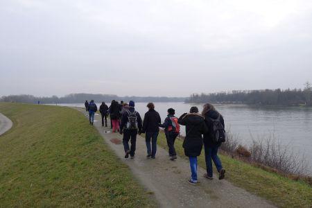 Unsere Wandergruppe auf dem Deich direkt am Rhein.