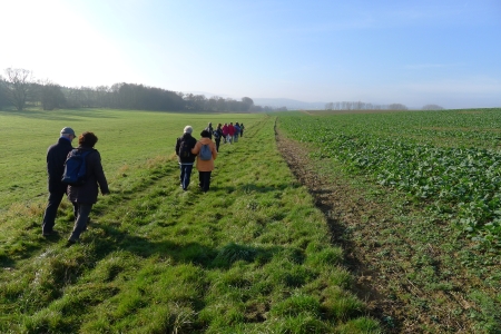 Unsere Gruppe auf einem Feldweg.