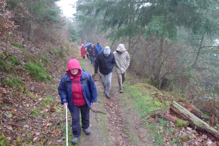 Schmaler, steiler Wanderweg. Herrliche Ruhe, herrliche Natur!!!