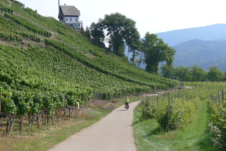 Traumhaft schöne Landschaft, die Berge sahen wir (zum Glück) meist nur aus der Ferne.