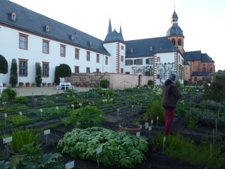 Blick in den Kräutergarten.