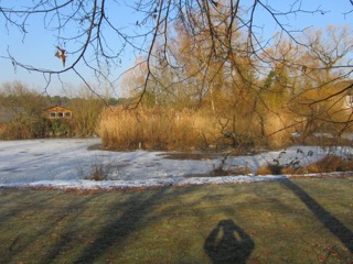 gefrorener See im Park 