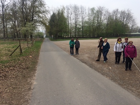 Wir wandern am Parkplatz der Pferdeklinik Großostheim.