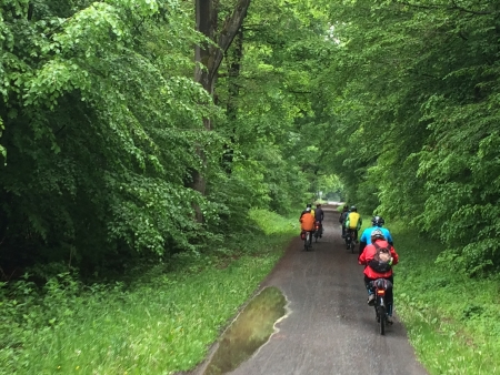 Unsere Gruppe bei der Fahrt im Wald.