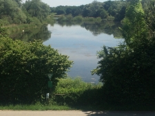 Blick auf den Ried-Teich  im Enkheimer Ried bei einer kleinen Pause.