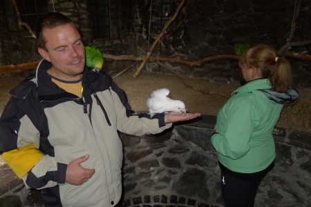 Rima und Steffen füttern in der Vogelburg.