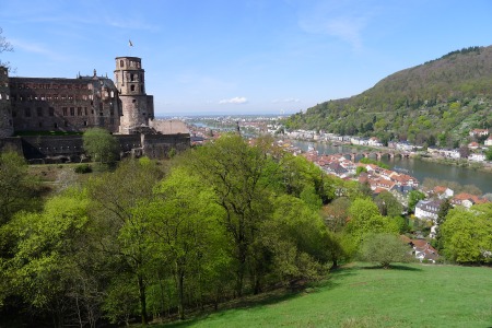 An der Schloßruine schauen wir auf den Neckar.