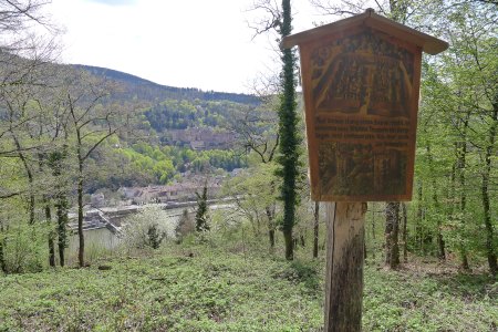 Von der nördlichen Neckarseite schauen wir zum Neckar hinunter und zum Schloß.